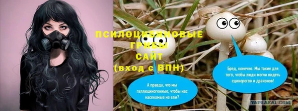 скорость Абаза