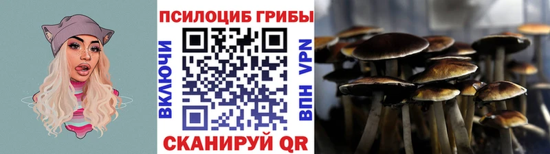 наркошоп  Алексин  кракен сайт  Псилоцибиновые грибы GOLDEN TEACHER 