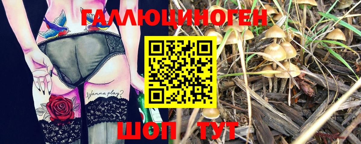 Псилоцибиновые грибы мицелий  Вход с VPN  Алексин  Псилоцибиновые грибы GOLDEN TEACHER 